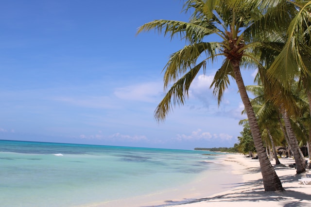 Playa paradisíaca en República Dominicana